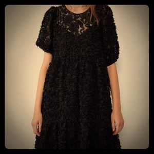 Zara Black Dress with Great Detail!!